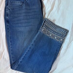 Soft Surroundings Blue Embroidered Flare Jeans